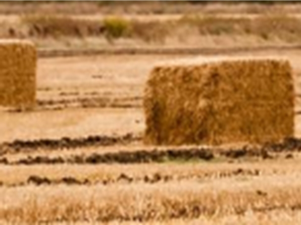 Rectangular hay bale